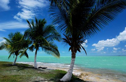 Beach in Belize